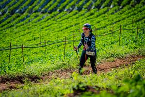 BIB: 2197
                            <button type="button" onclick="openModal(19162018)" class="btn btn-primary btn-sm float-right btn-popup" data-toggle="modal" data-target=".modal-high-quality">
                        <i class="fas fa-shopping-cart"></i> Add to Cart
                    </button>
                                            <button type="button" onclick="isThisMe(19162018, true)" class="btn btn-success btn-sm float-right btn-popup btn-isme hidden" data-toggle="tooltip" data-placement="bottom" title="นี่คือรูปของคุณใช่ไหม คลิกที่นี่เพื่อเอาเข้าอัลบั้ม">
                        <i class="fas fa-plus"></i> Add to album
                    </button>
                    <button type="button" onclick="isThisMe(19162018, false)" class="btn btn-warning btn-sm float-right btn-popup btn-isnotme hidden">
                        <i class="fas fa-ban"></i> Remove from album
                    </button>